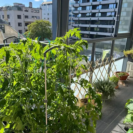 Apartment Ons 2024, Sentrum